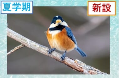 公開講座] 早稲田大学エクステンションセンター